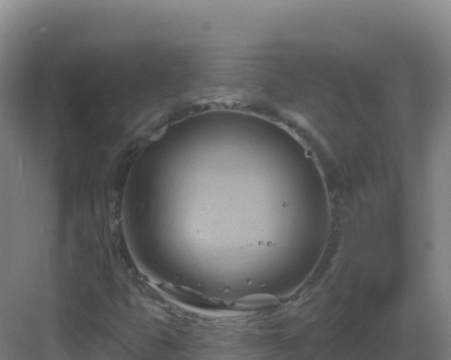 X0000083041399200702091357