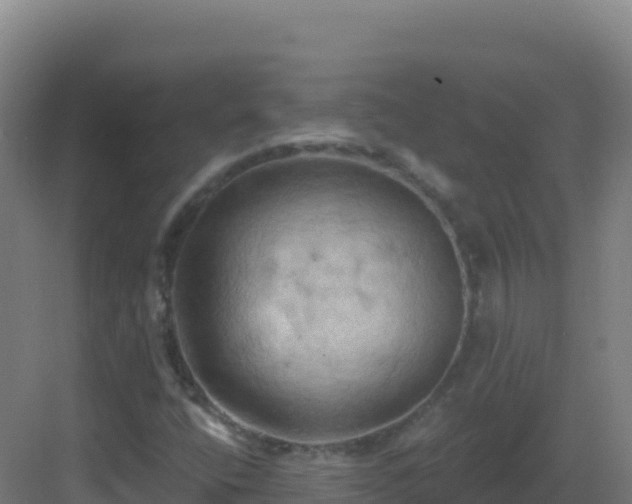 X0000083041400200702091357