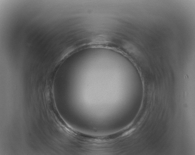 X0000083041401200702091357