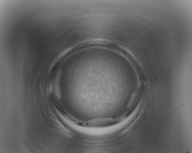 X0000083041402200702091357