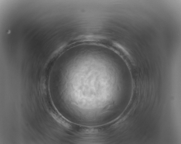 X0000083041403200702091357