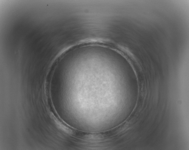 X0000083041404200702091357