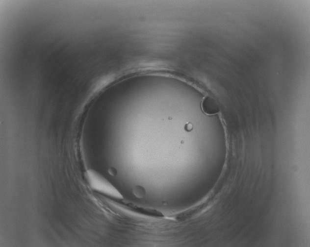 X0000083041405200702091357