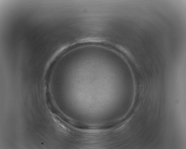 X0000083041406200702091357