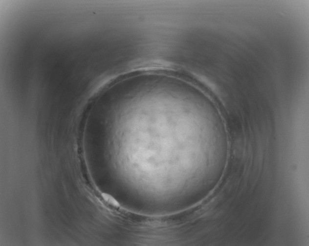 X0000083041407200702091357