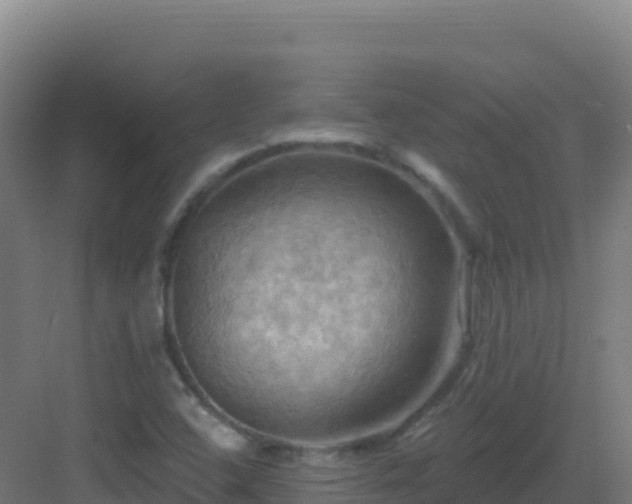 X0000083041408200702091357