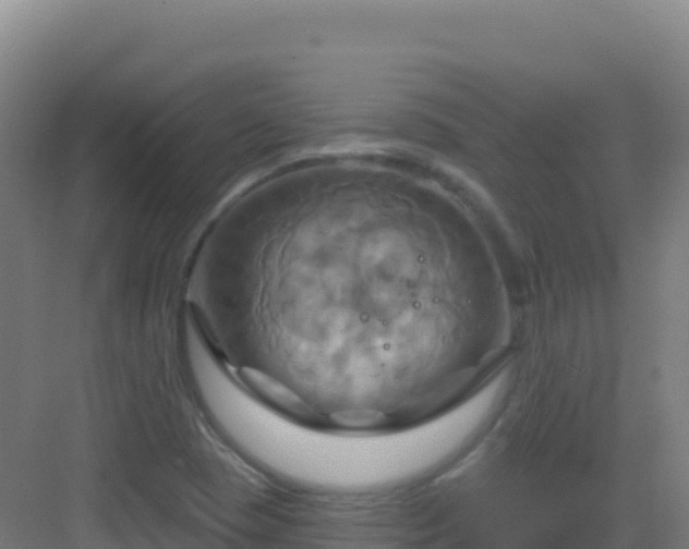 X0000083041409200702091357