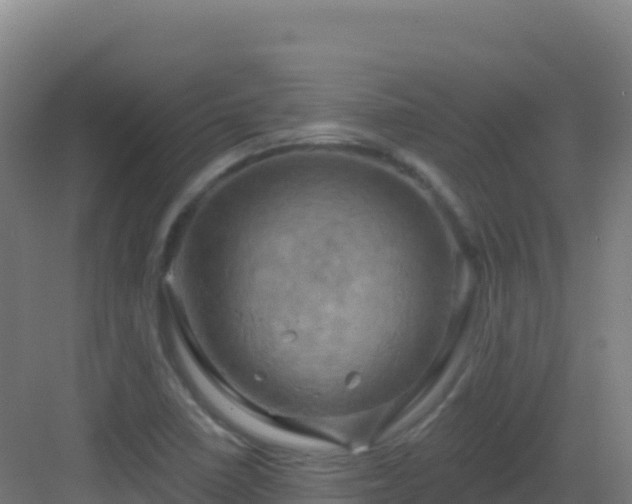 X0000083041410200702091357