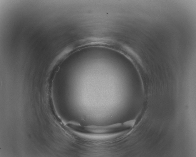 X0000083041411200702091357