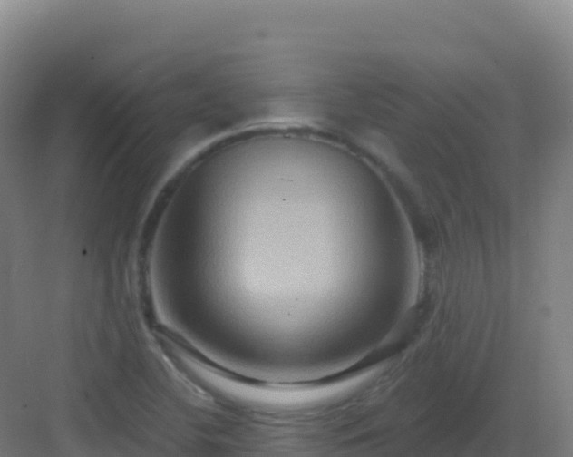 X0000083041412200702091357