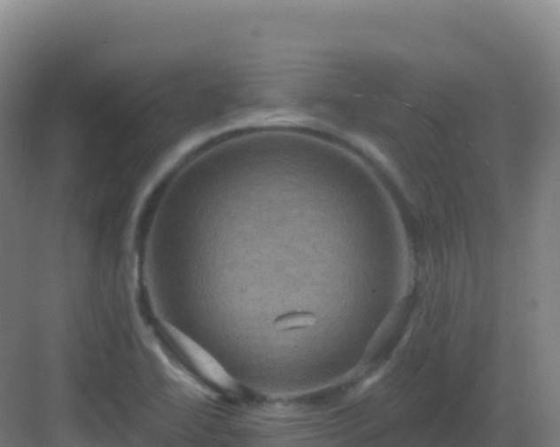 X0000083041414200702091357