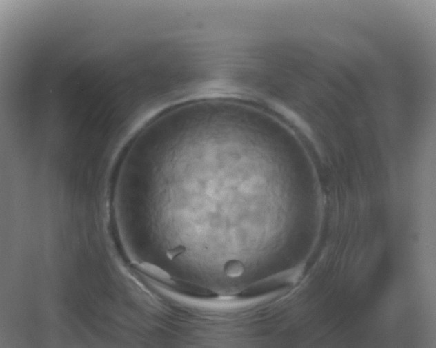 X0000083041415200702091357