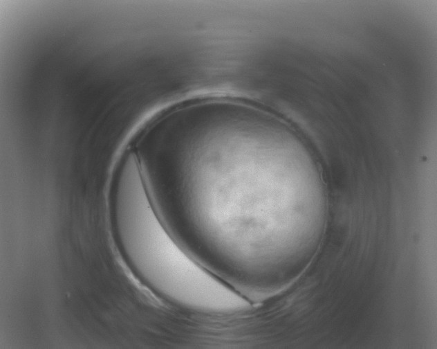 X0000083041416200702091357