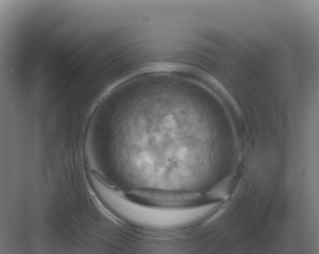 X0000083041417200702091357