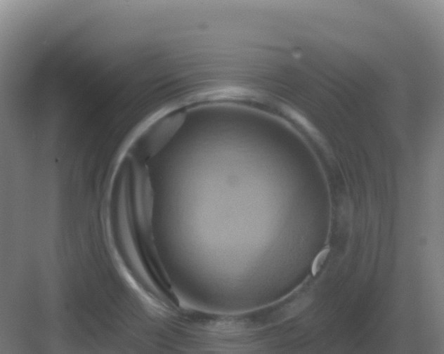 X0000083041418200702091357