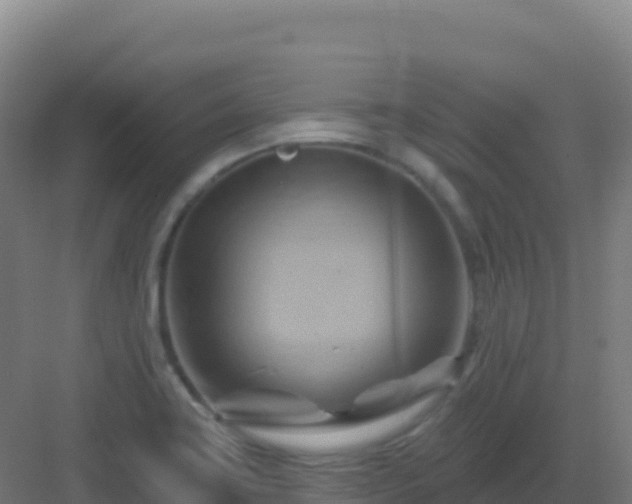 X0000083041419200702091357