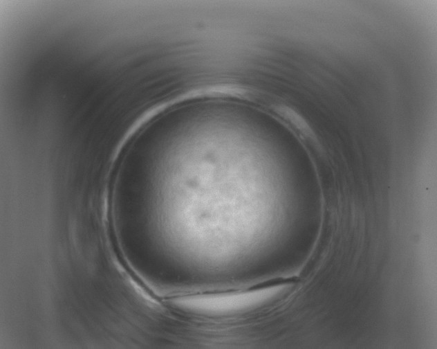 X0000083041420200702091357