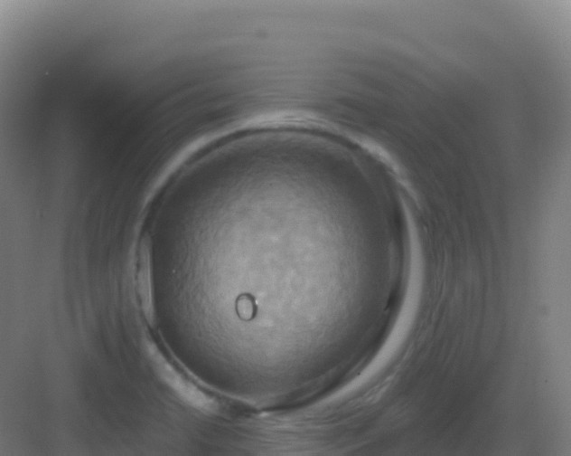 X0000083041422200702091357