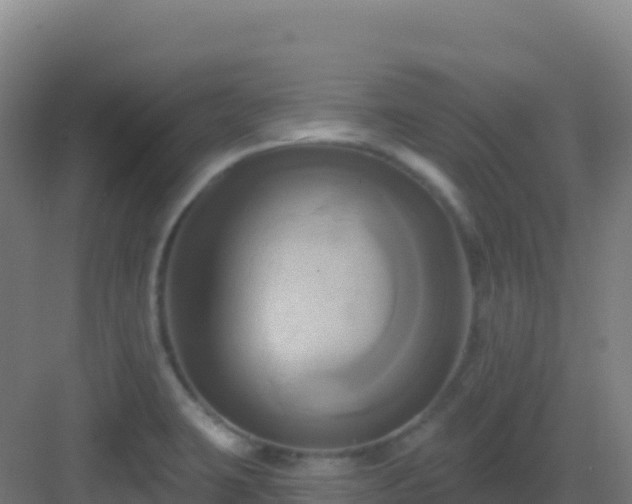 X0000083041423200702091357