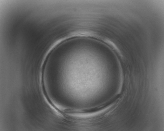 X0000083041424200702091357