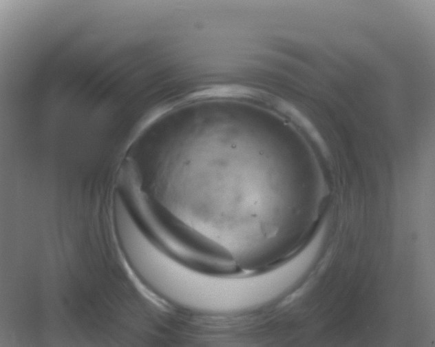 X0000083041425200702091357