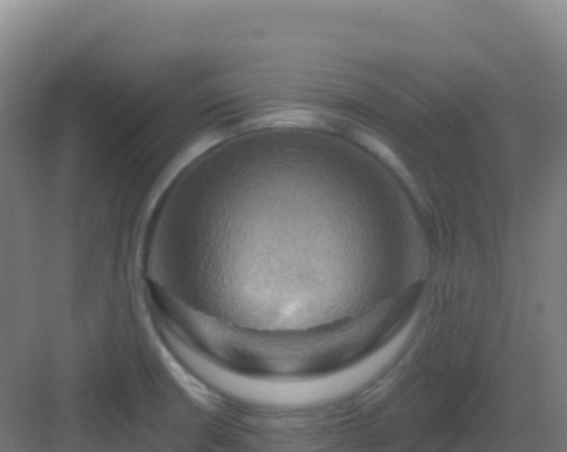 X0000083041426200702091357