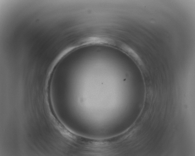 X0000083041427200702091357