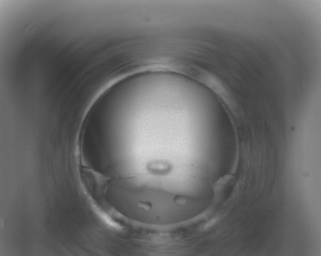 X0000083041428200702091357