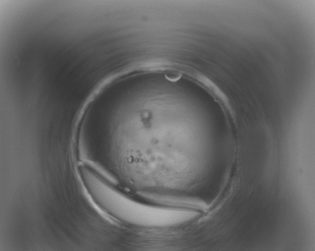 X0000083041429200702091357