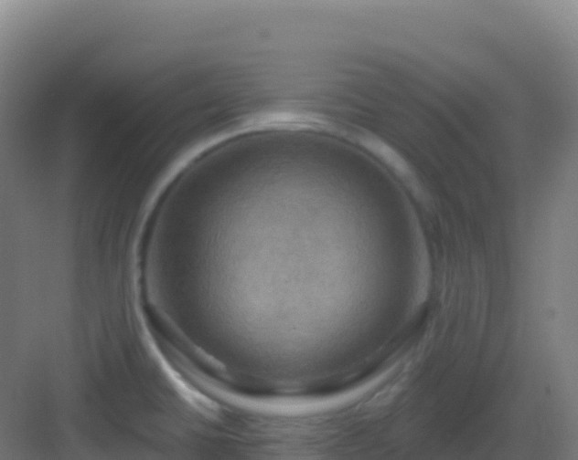 X0000083041430200702091357