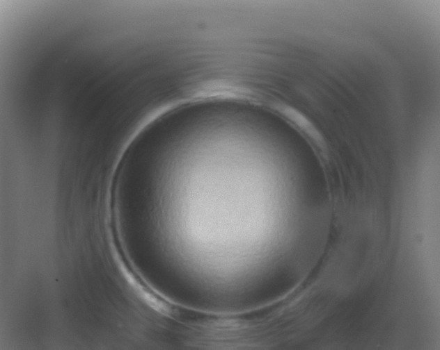 X0000083041431200702091357