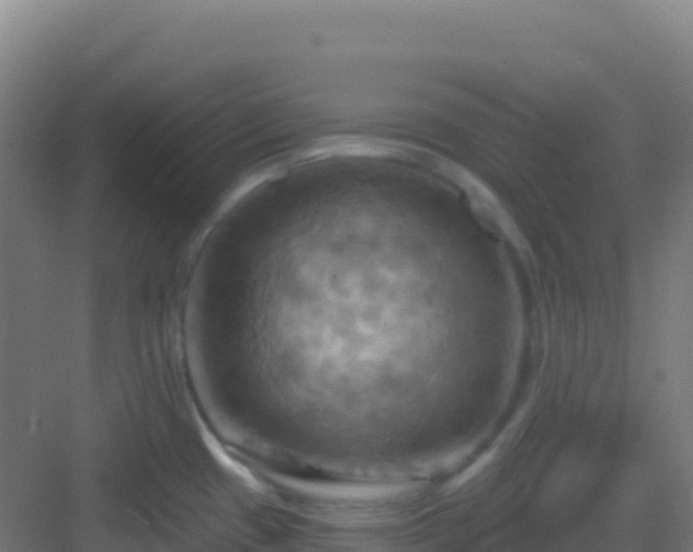 X0000083041433200702091357