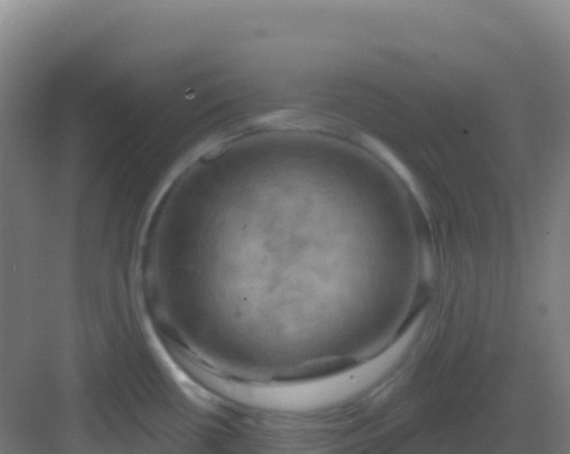 X0000083041434200702091357