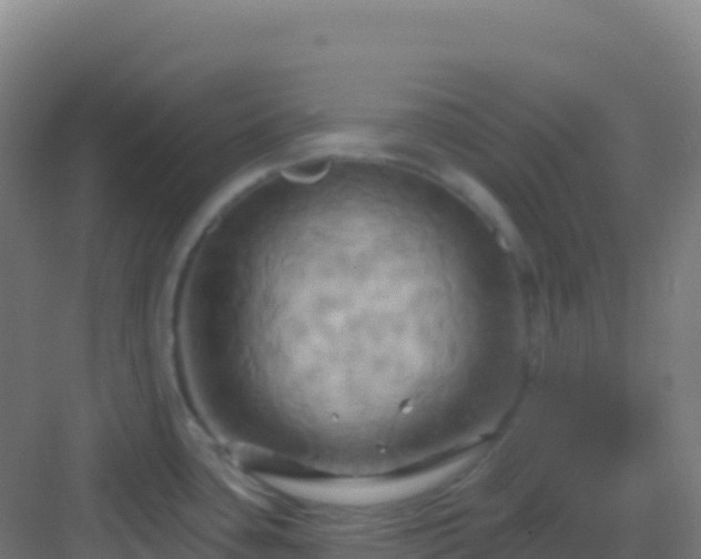 X0000083041435200702091357