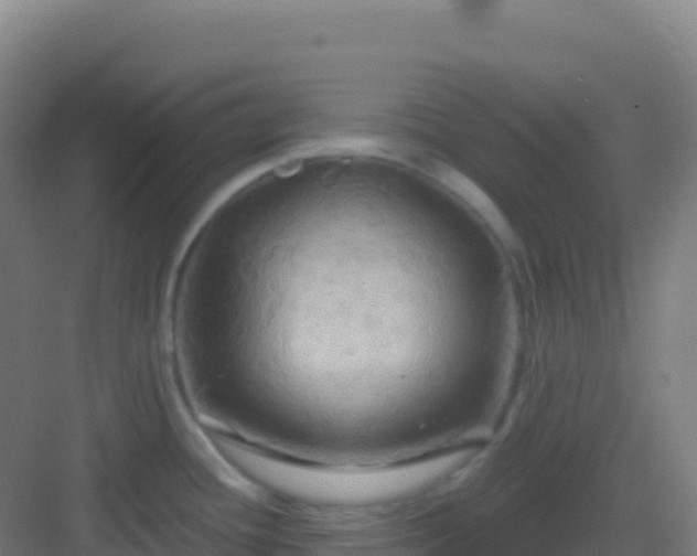 X0000083041436200702091357