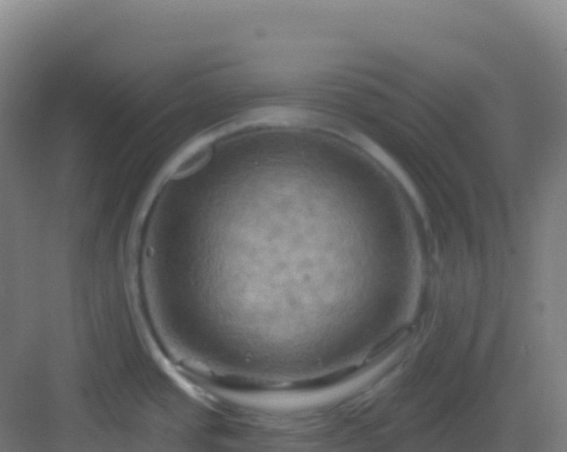 X0000083041437200702091357