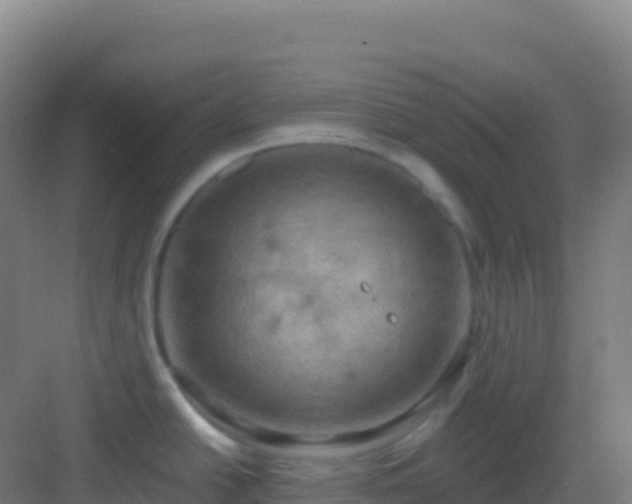 X0000083041438200702091357