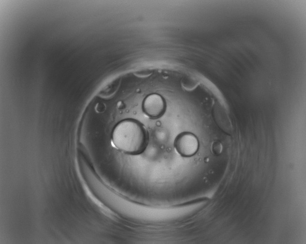 X0000083041439200702091357