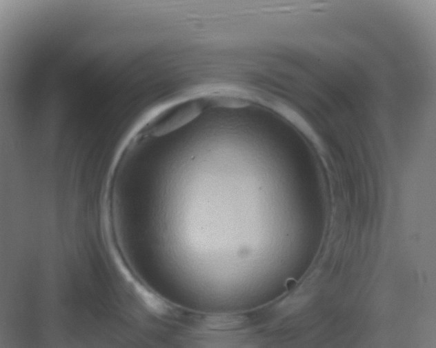 X0000083041440200702091357