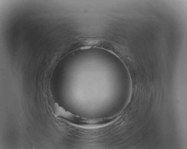 X0000083041441200702091356