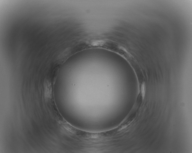 X0000083041443200702091356