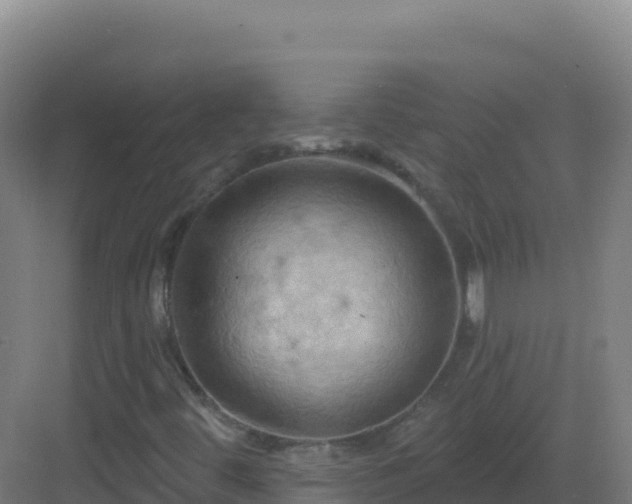 X0000083041444200702091356