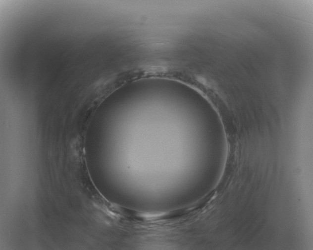 X0000083041445200702091356