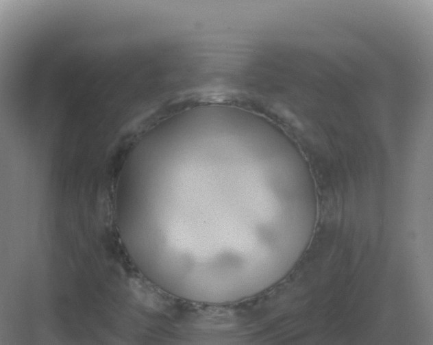 X0000083041446200702091356