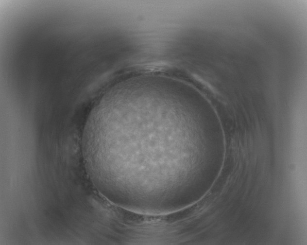 X0000083041447200702091356