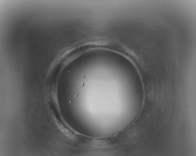 X0000083041448200702091356