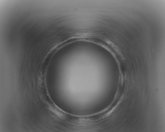 X0000083041449200702091356