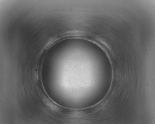 X0000083041451200702091356