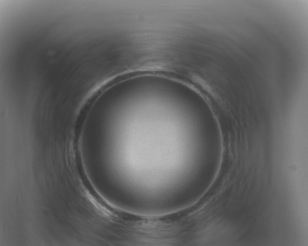 X0000083041452200702091356