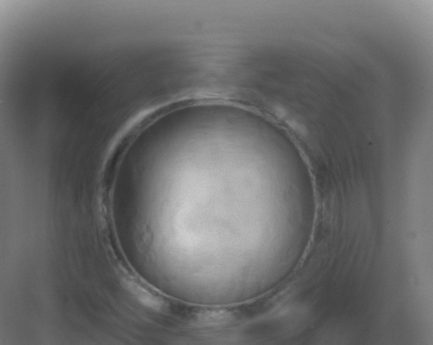 X0000083041454200702091356